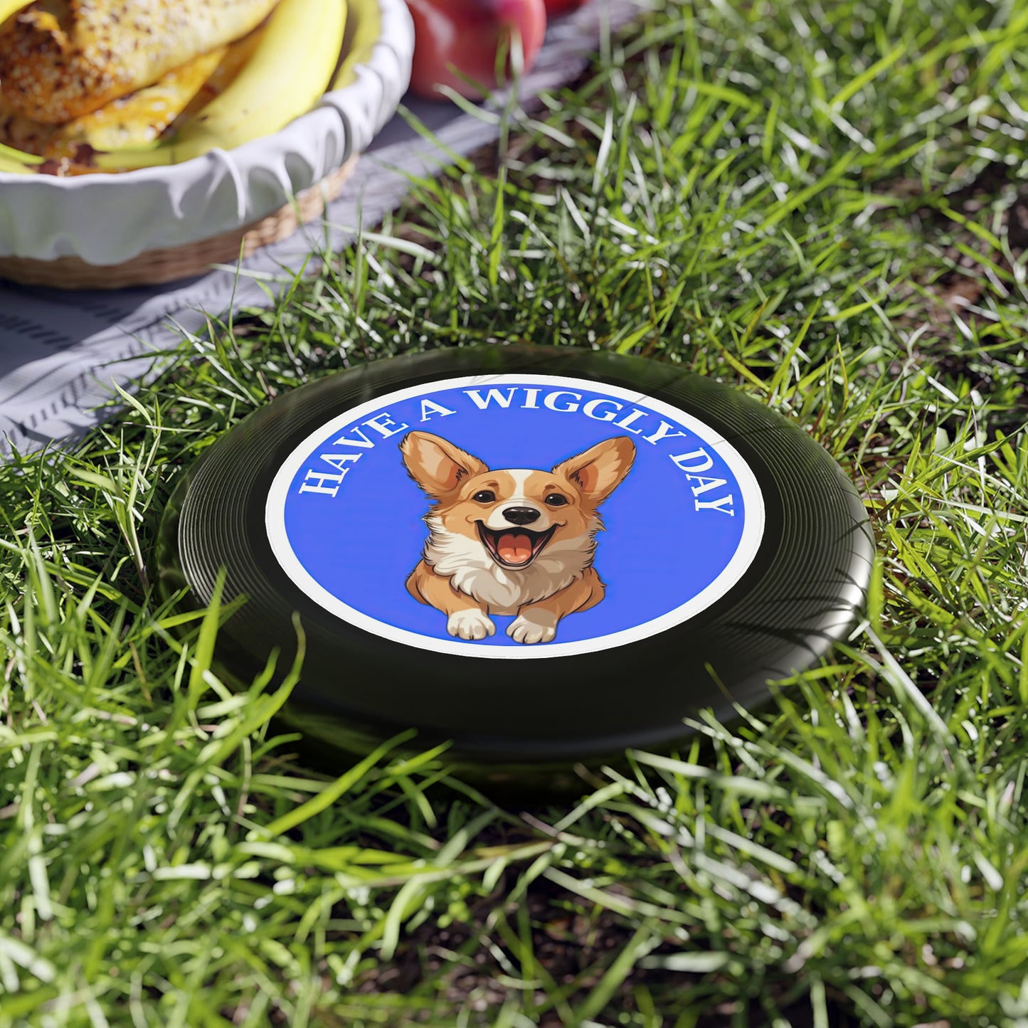 Have a Wiggly Day - Wham-O Frisbee