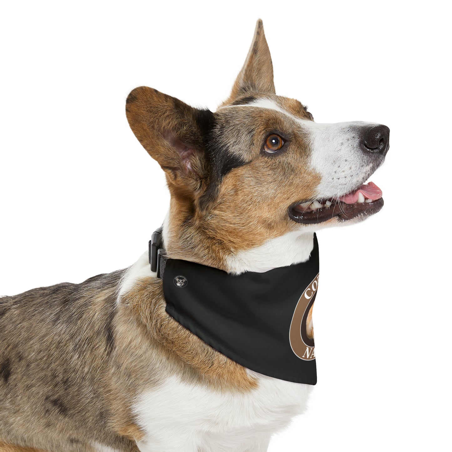 Corgi Nation -  Bandana Collar