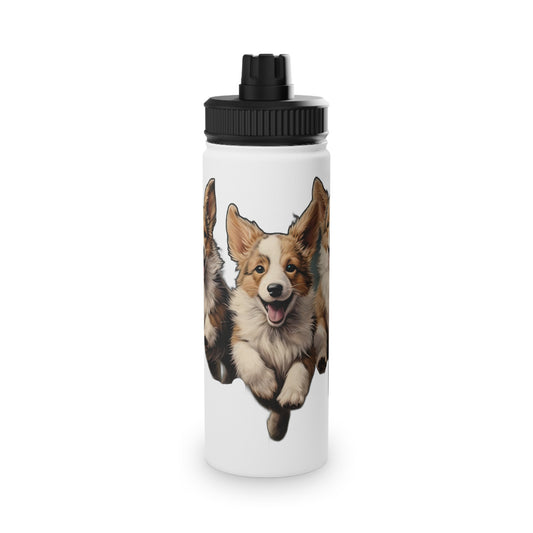 Corgi Enthusiasm - Water Bottle with Sport Lid