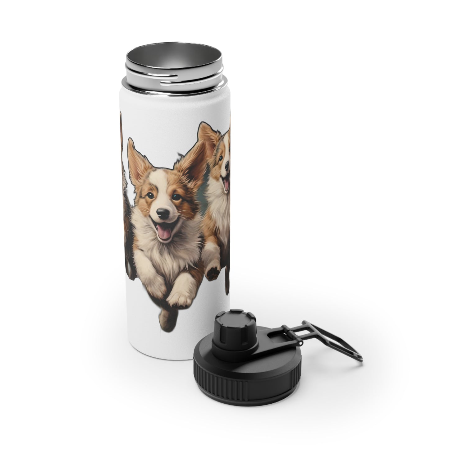 Corgi Enthusiasm - Water Bottle with Sport Lid