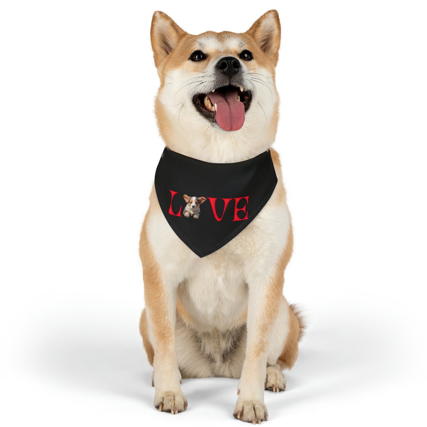 LOVE - Bandana Collar