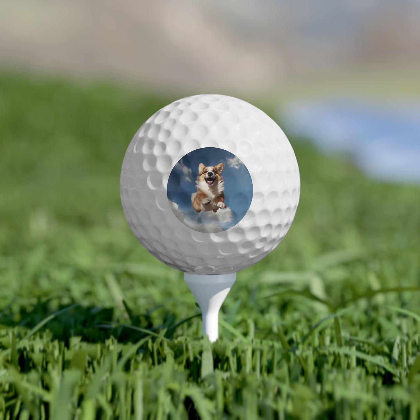 Flying Corgi - Golf Balls