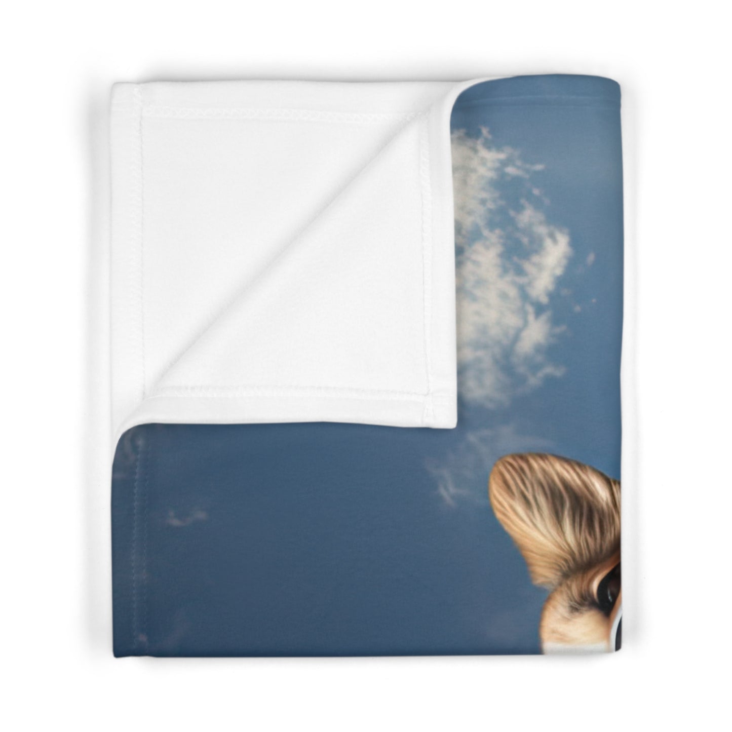 Super Corgi - Baby Blanket