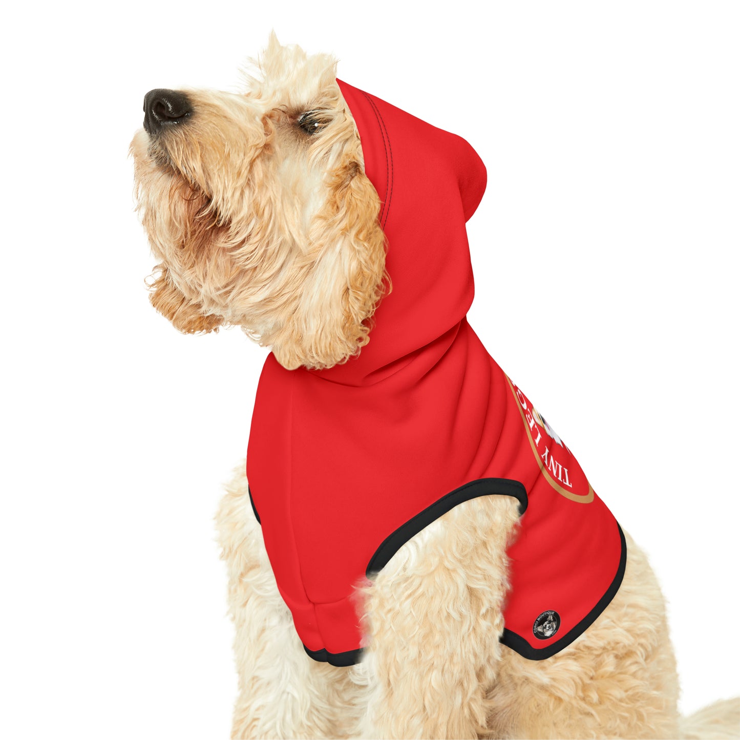 Tiny Legs...Huge Heart - Pet Hoodie