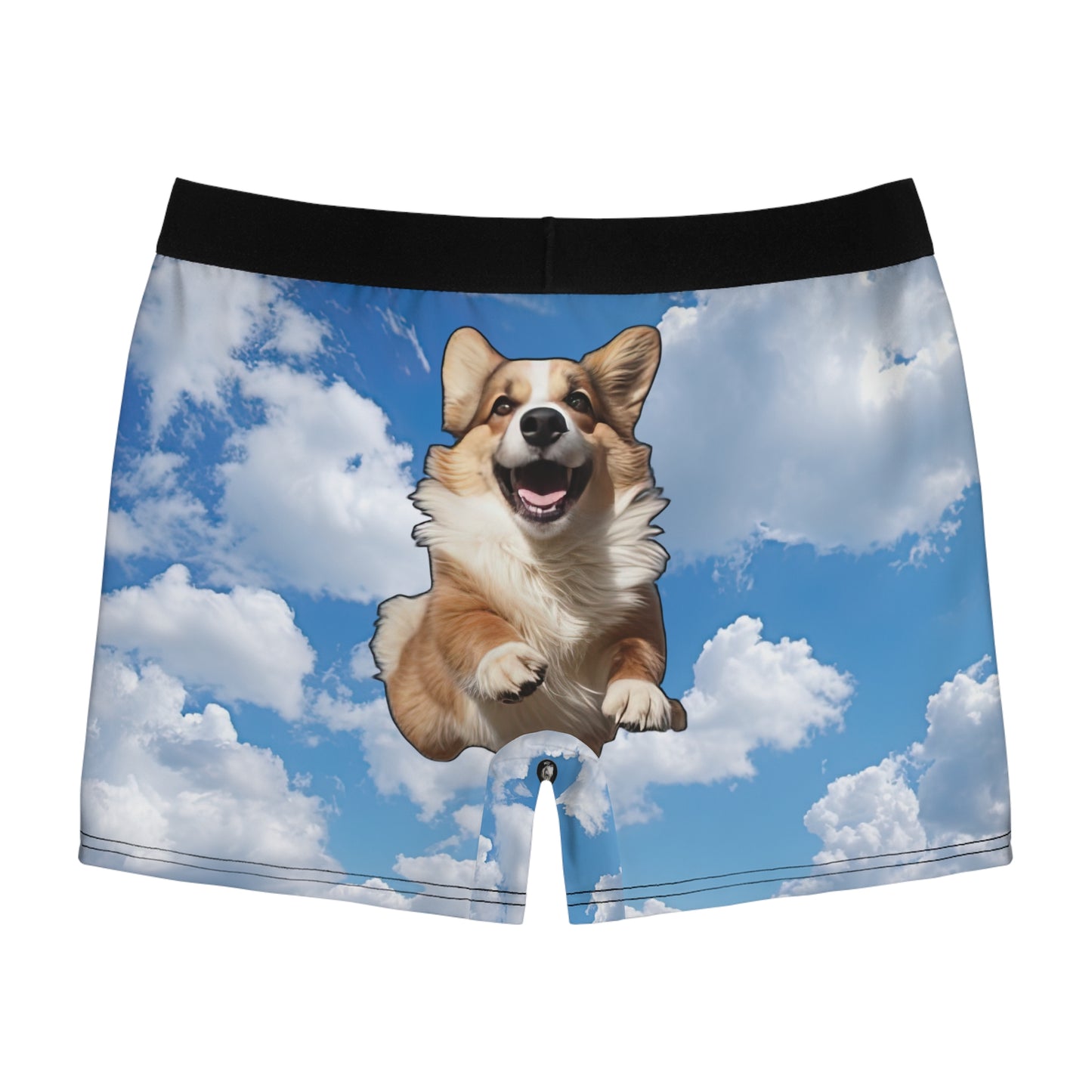 Super Corgi Boxer Briefs!