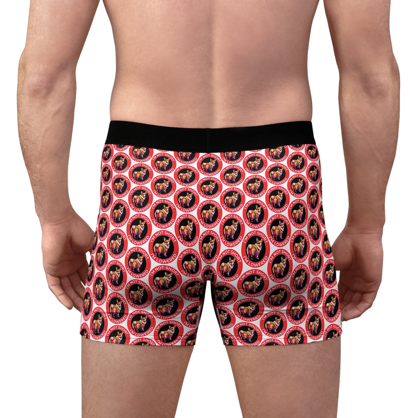 Lowrider Mosaic Boxer Briefs