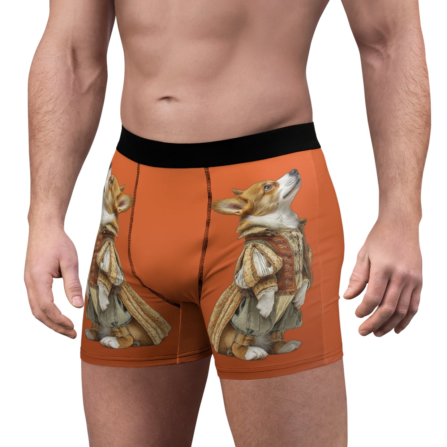 Prince Corgi Boxer Briefs!