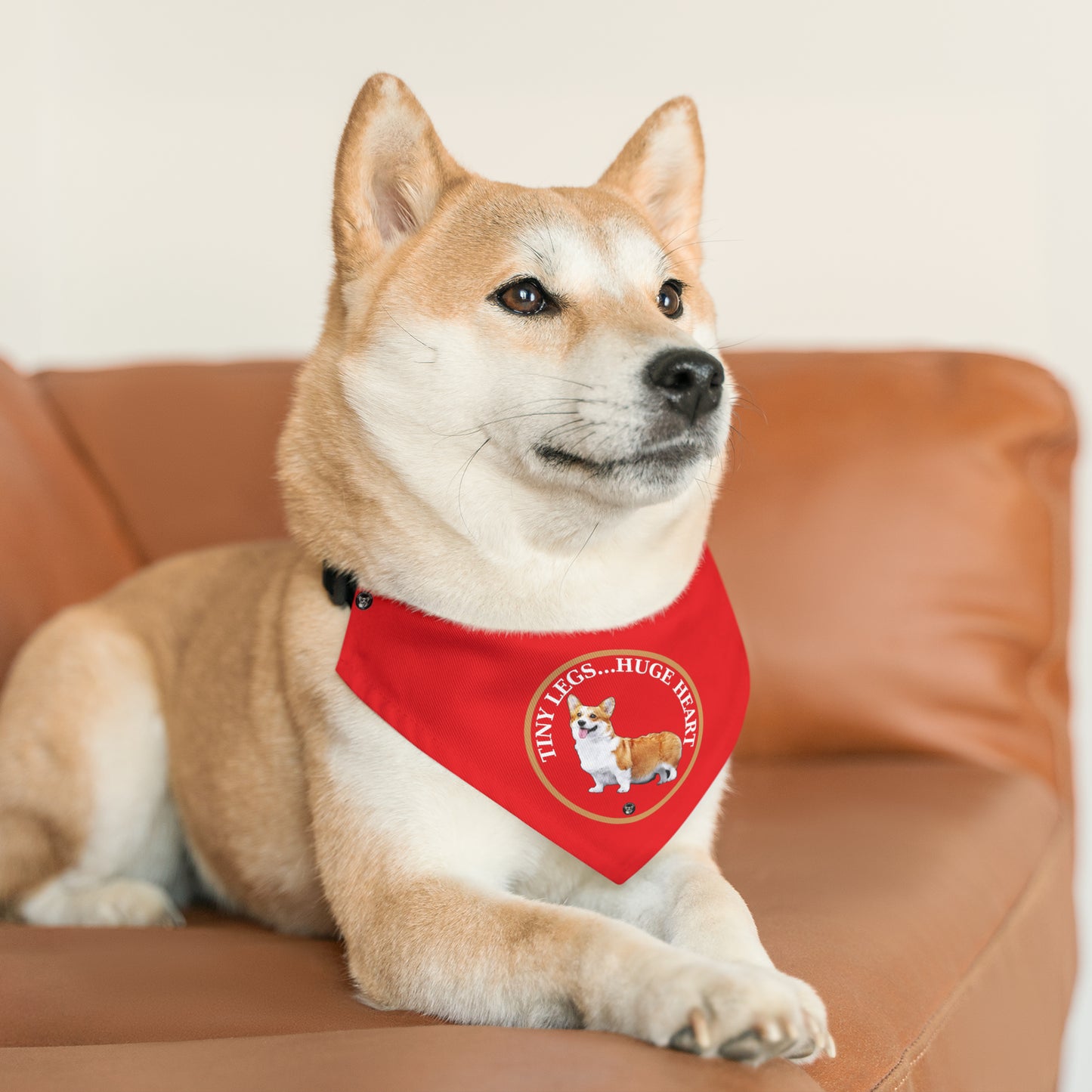 Tiny Legs...Huge Heart - Bandana Collar