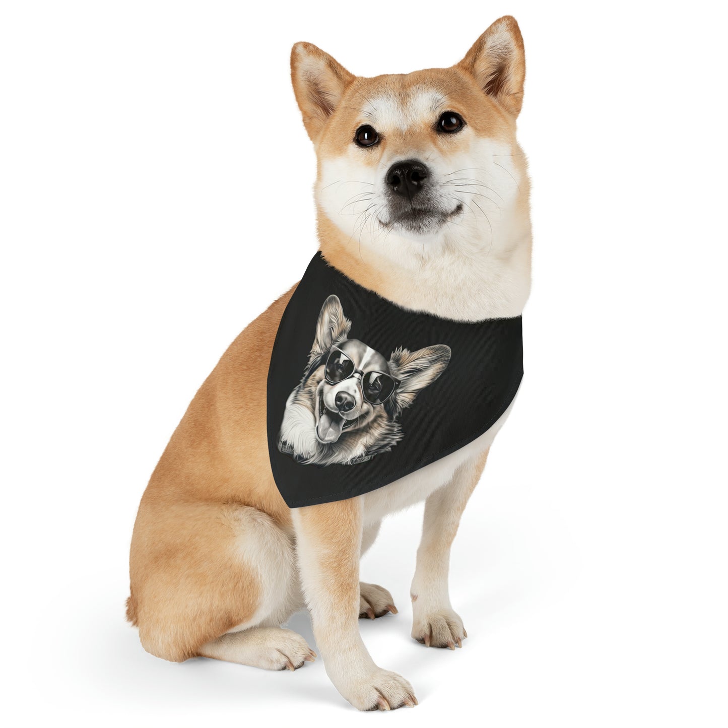 Corgi Cool -  Bandana Collar