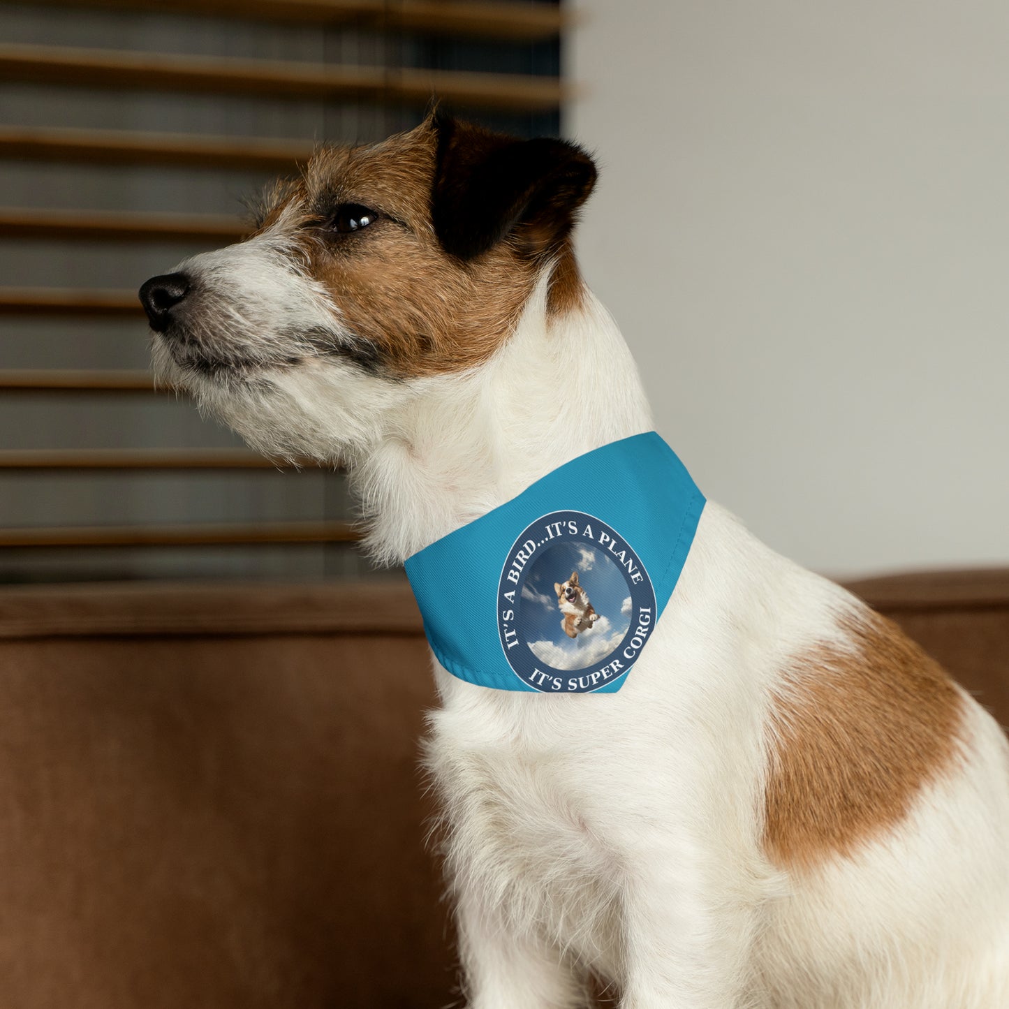 Super Corgi - Bandana Collar