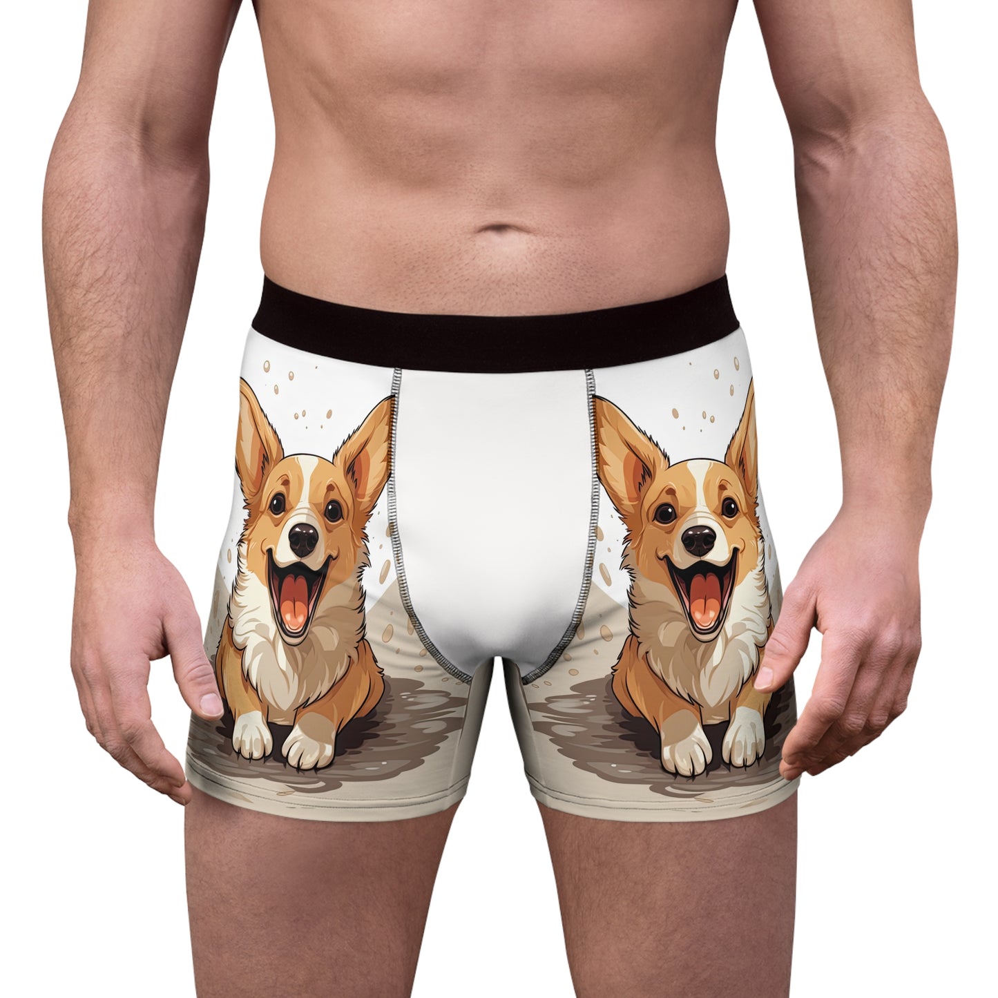 Boxer Corgi Mignon !