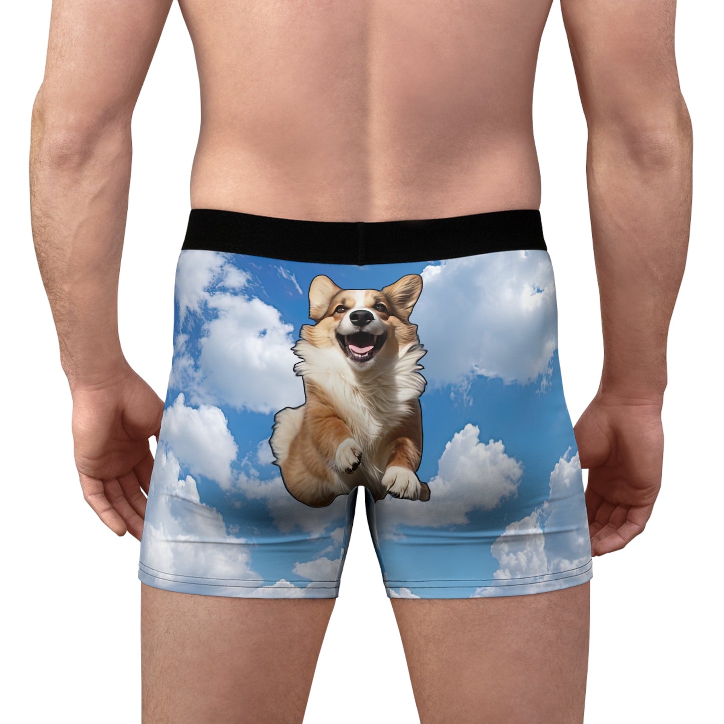 Super Corgi Boxer Briefs!