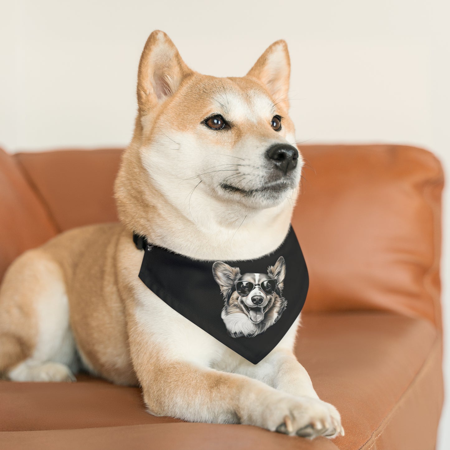 Corgi Cool -  Bandana Collar