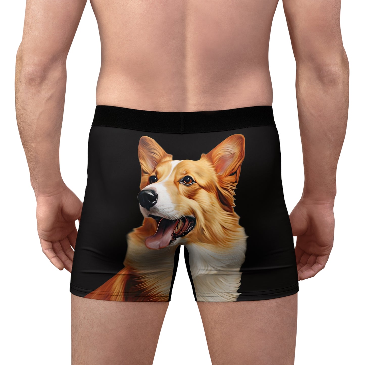 Pembroke Portrait Boxer Briefs!