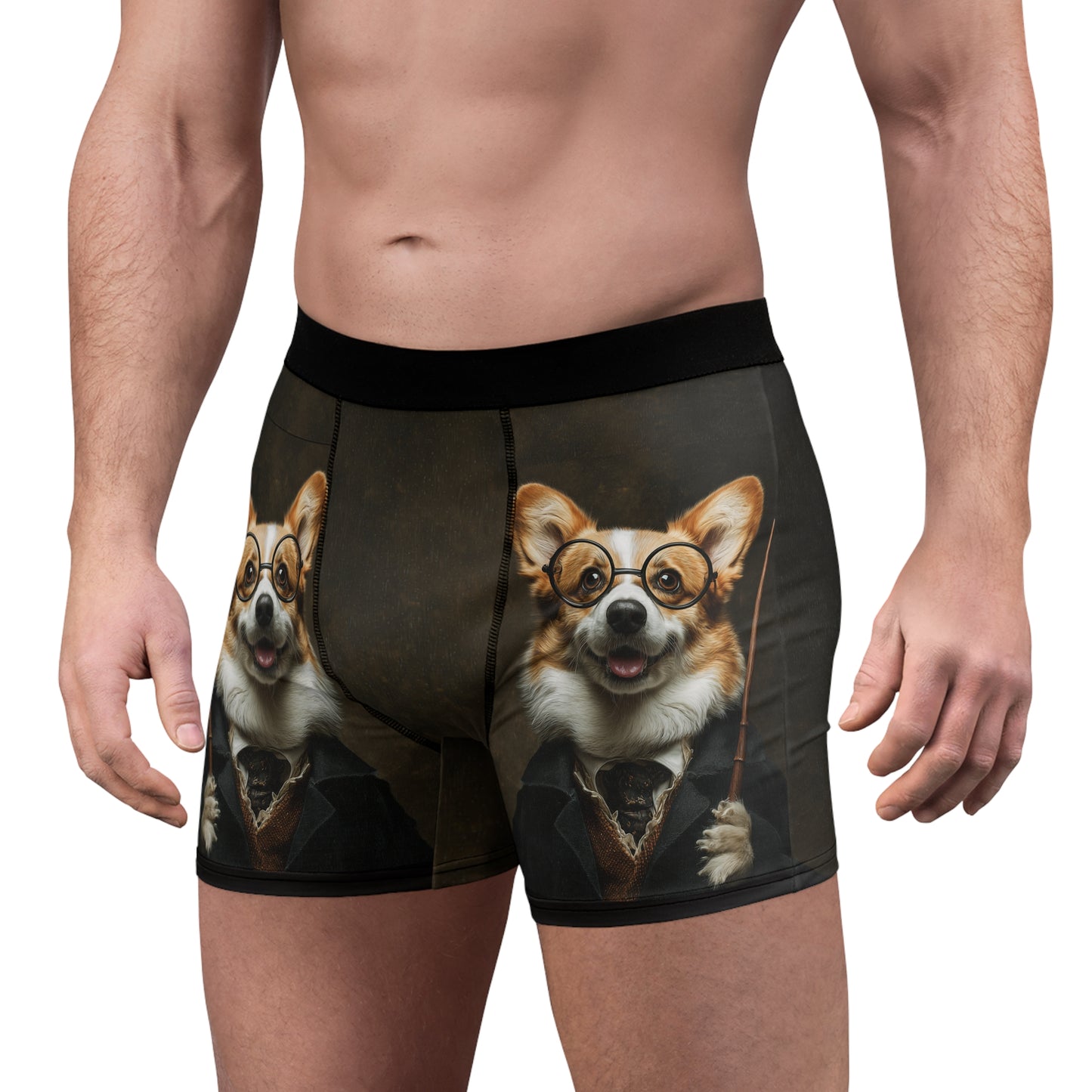 Corgi Potter Boxer Briefs!
