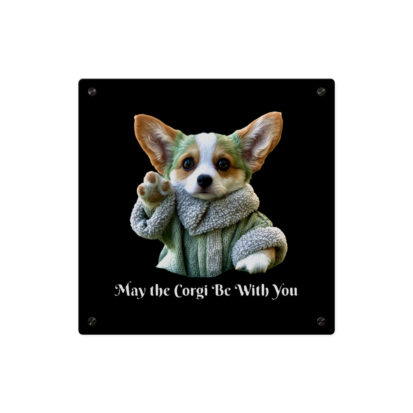 May the Corgi Be With You on Acrylic