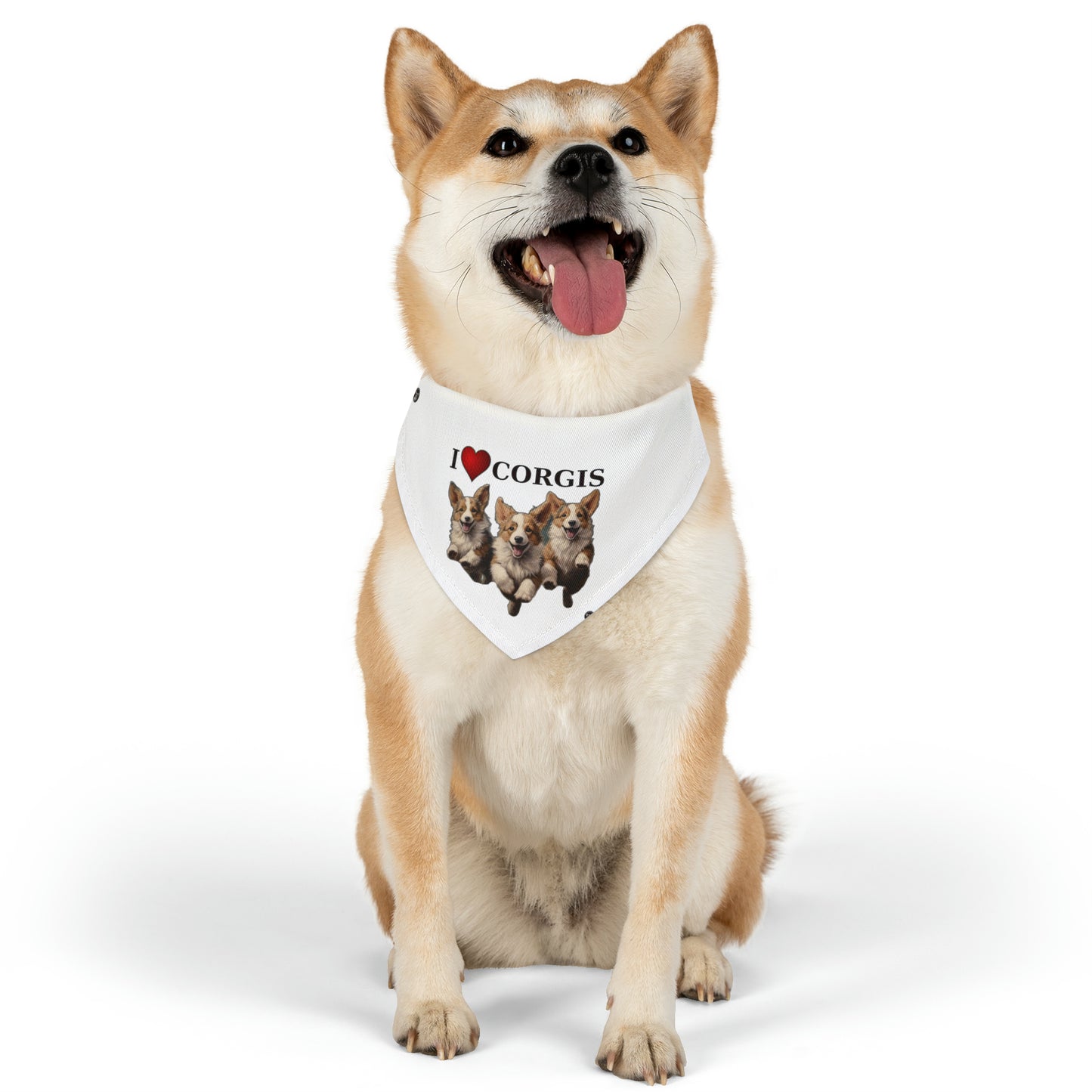 I Heart Corgis - Bandana Collar