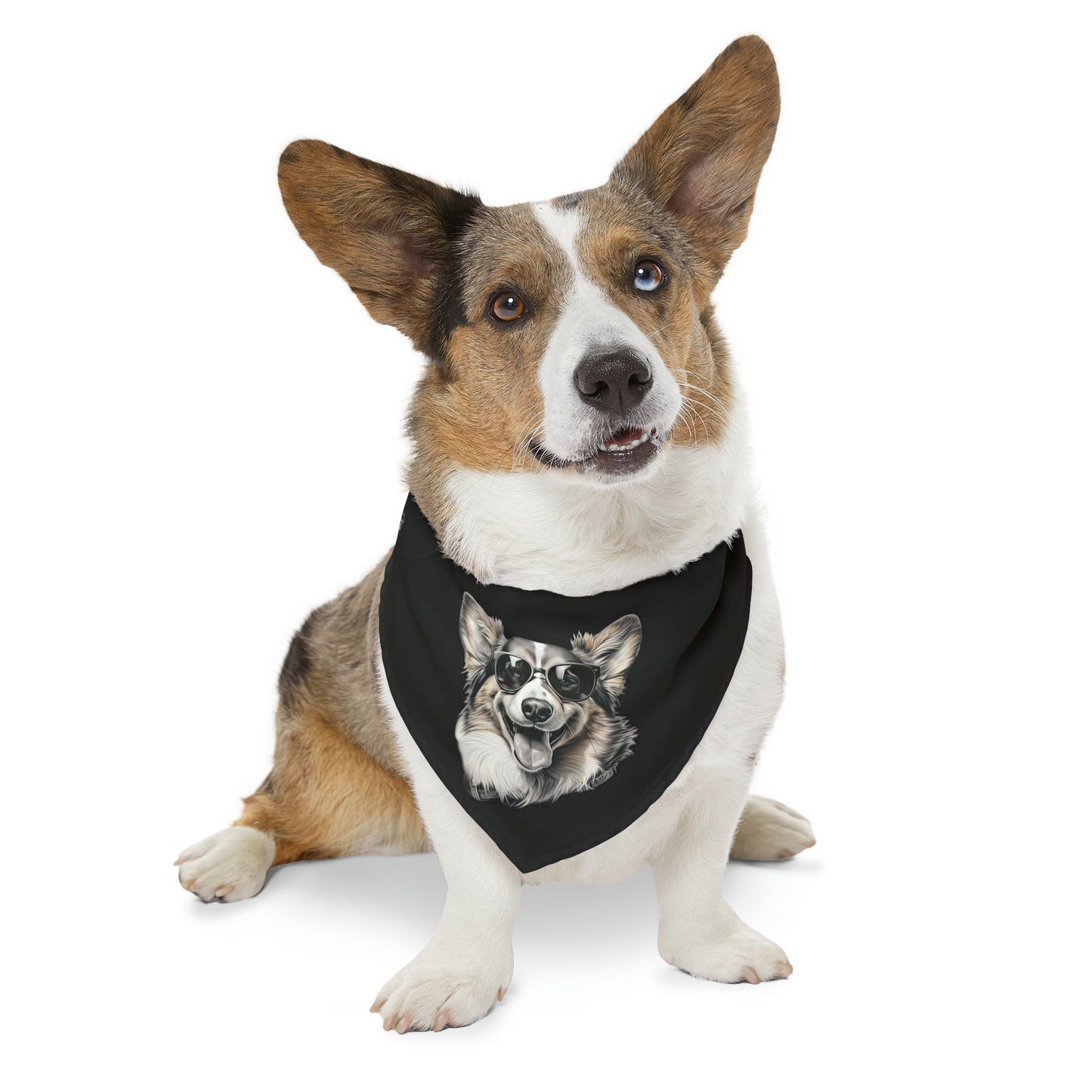 Corgi Cool -  Bandana Collar