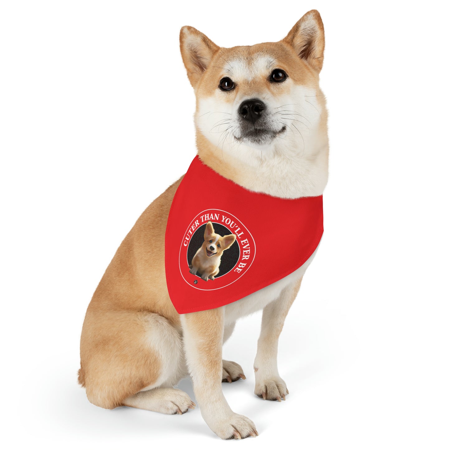 Cuter Than You - Bandana Collar