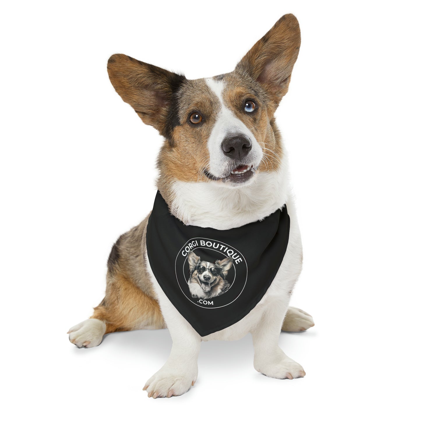 Corgi Boutique - Bandana Collar