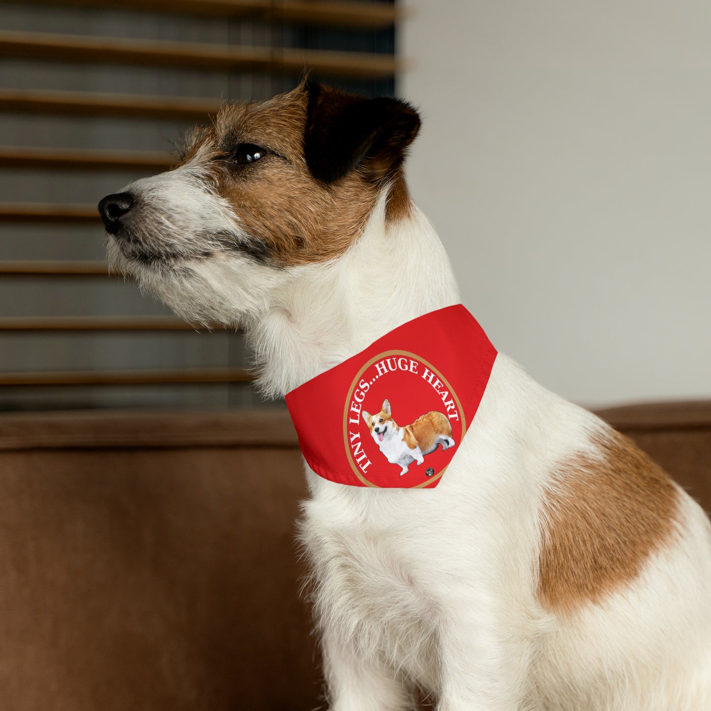 Tiny Legs...Huge Heart - Bandana Collar