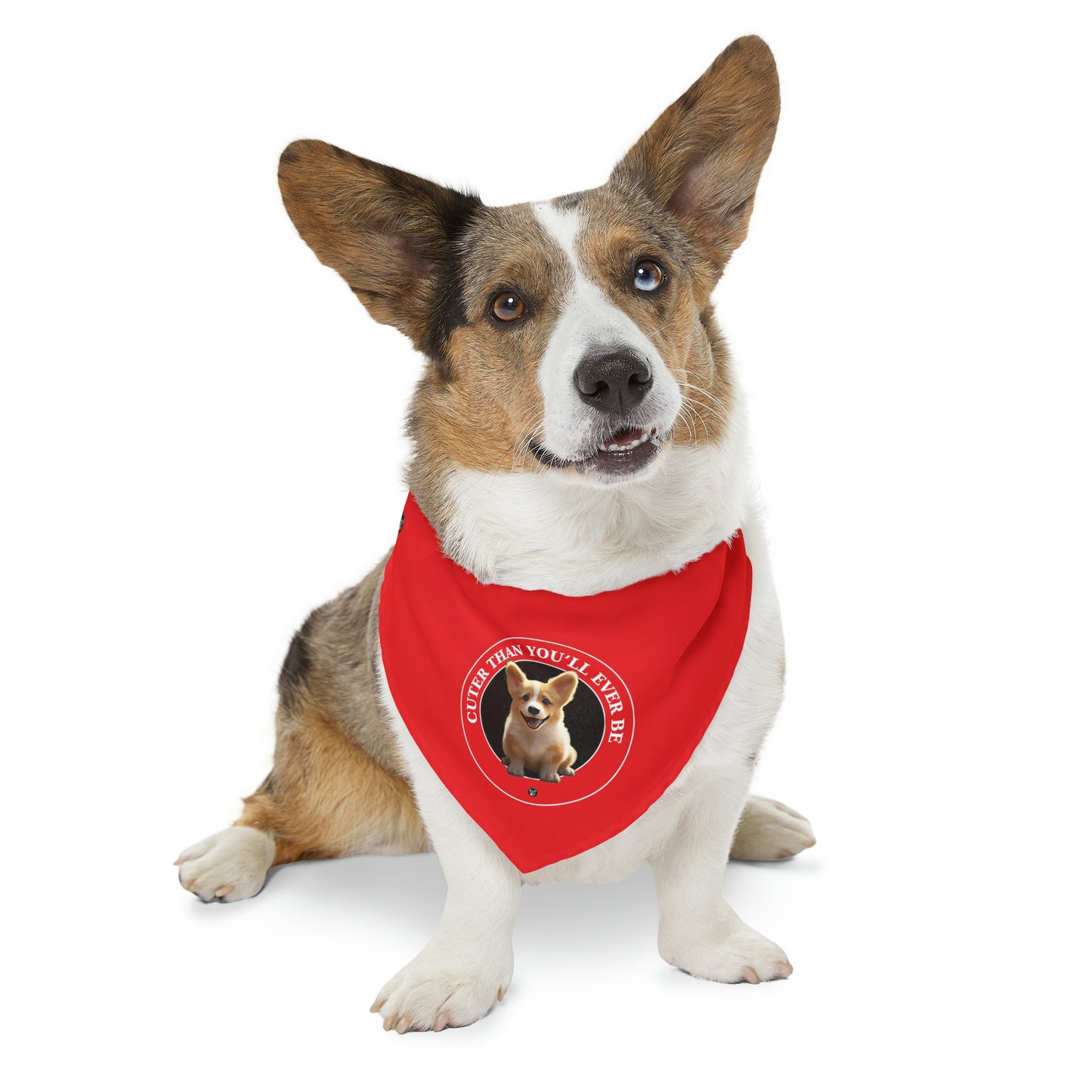 Cuter Than You - Bandana Collar