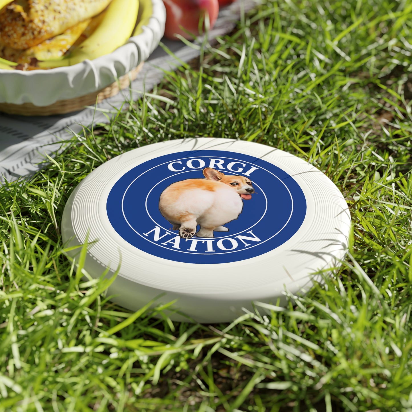 Corgi Nation - Wham-O Frisbee