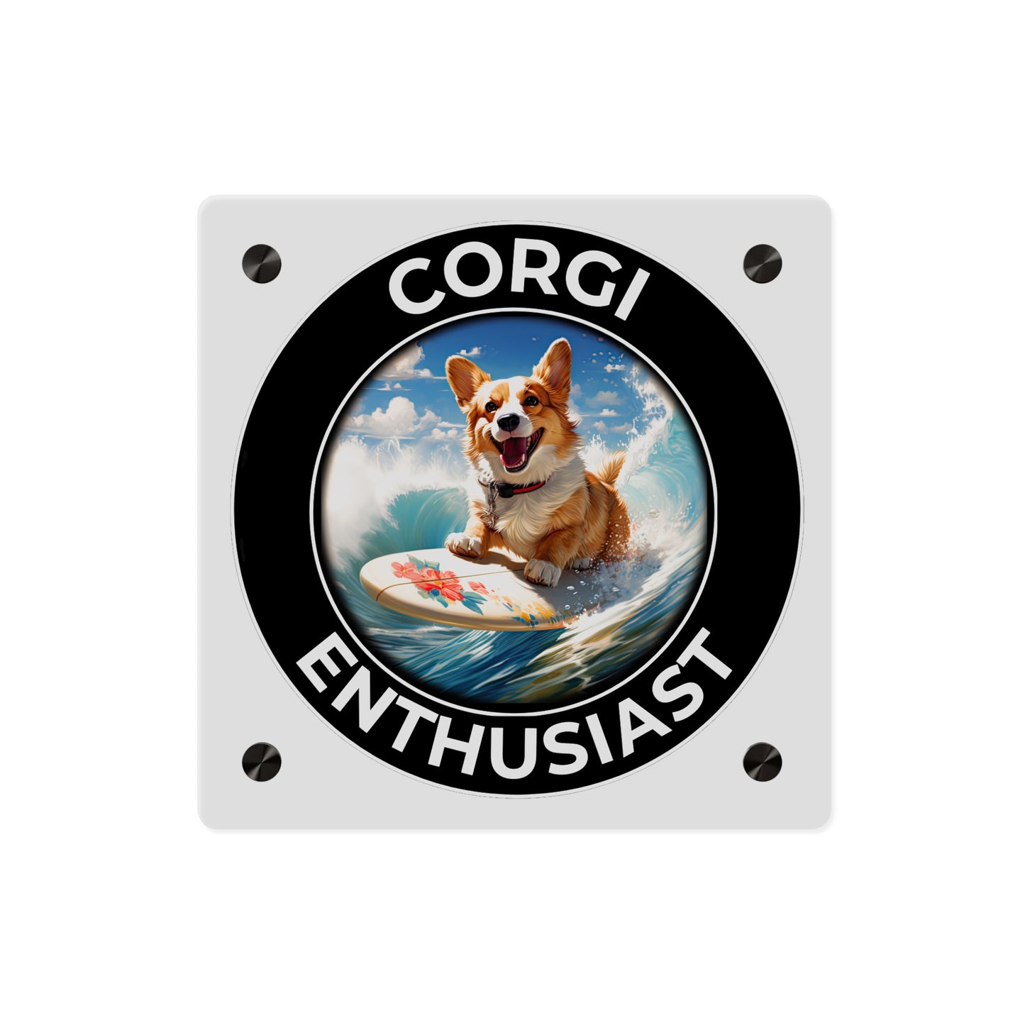 Corgi Enthusiast on Acrylic
