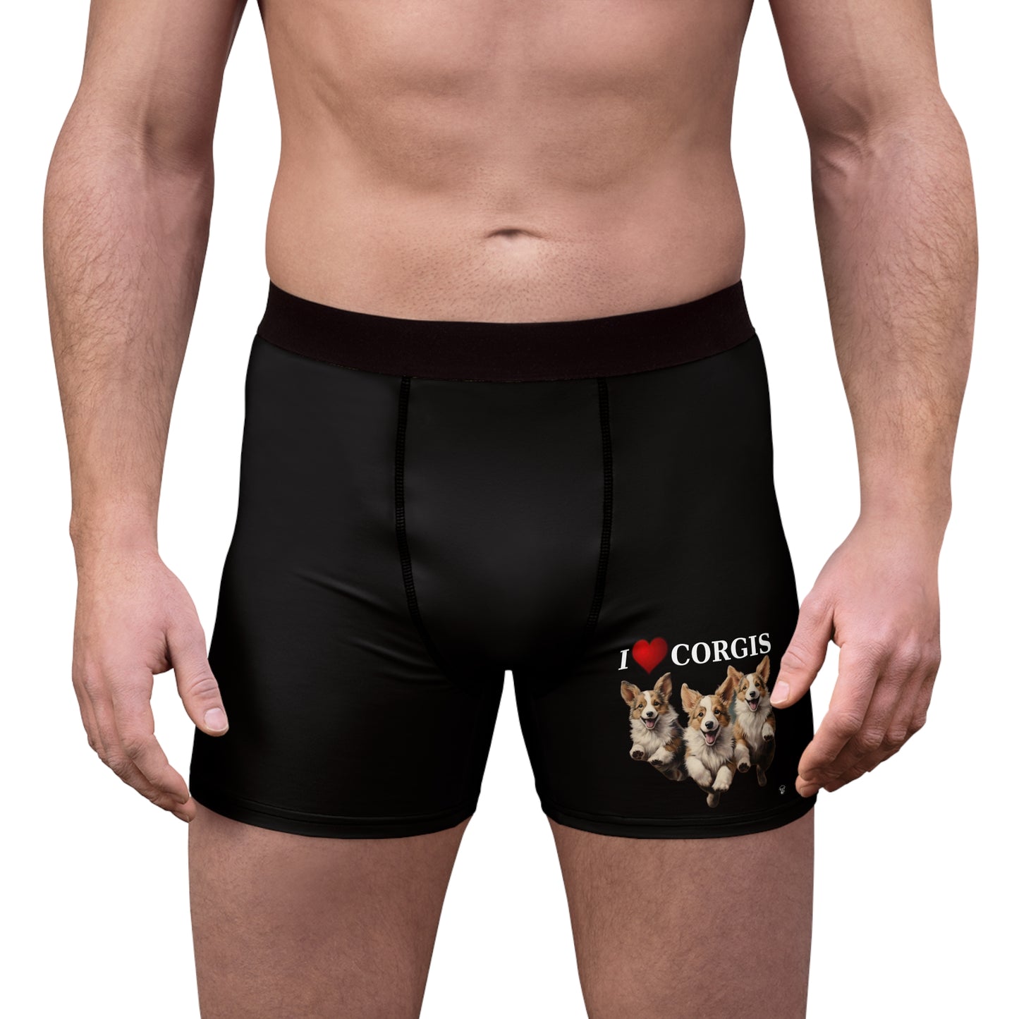 I Heart Corgis Boxer Briefs!