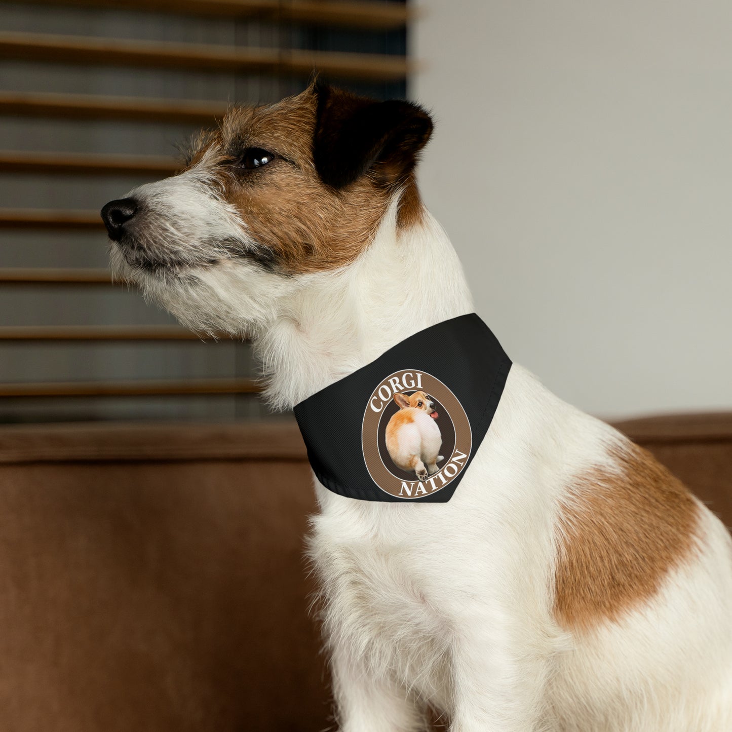 Corgi Nation -  Bandana Collar