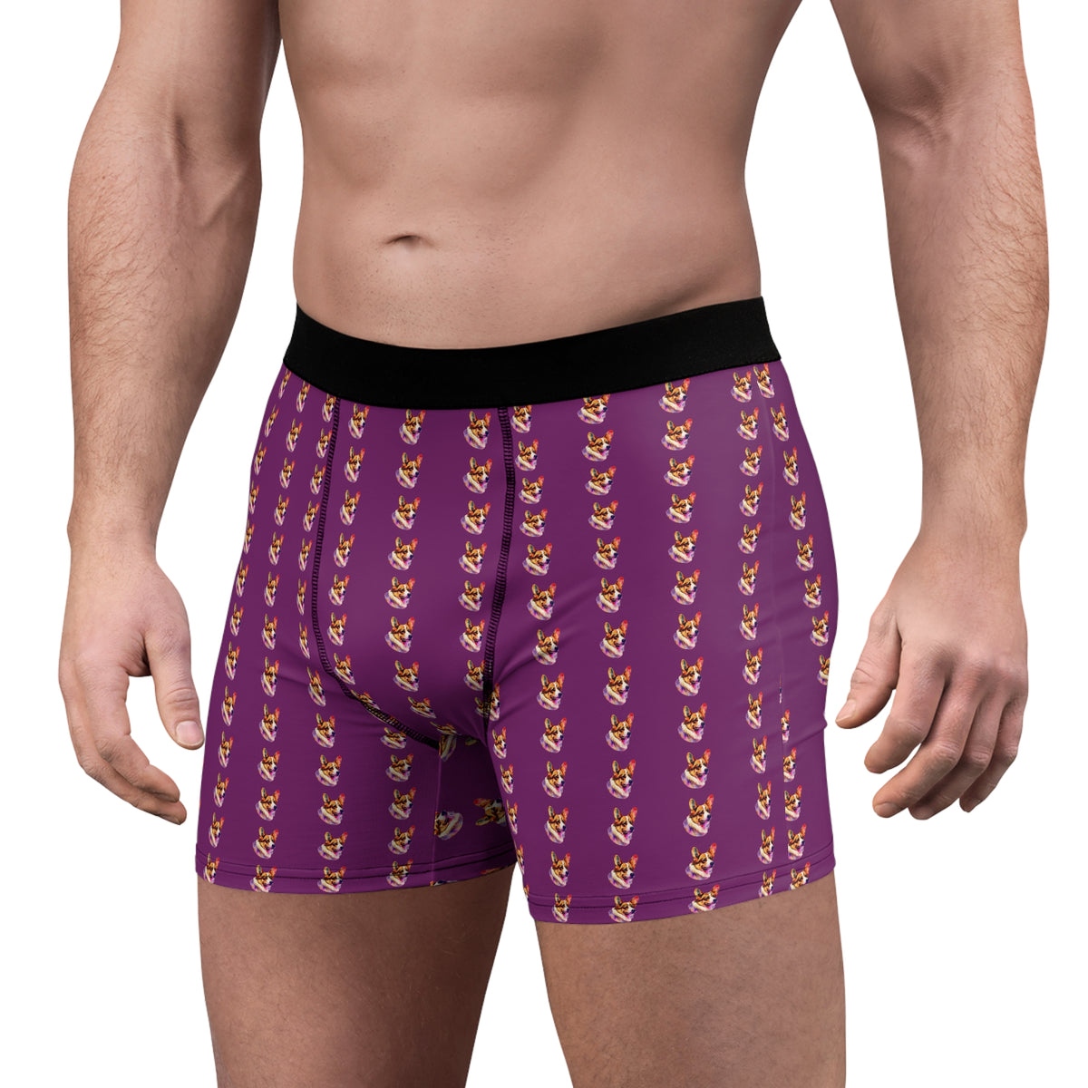 Motley Corgi Repeater Pattern Plum Boxer Briefs