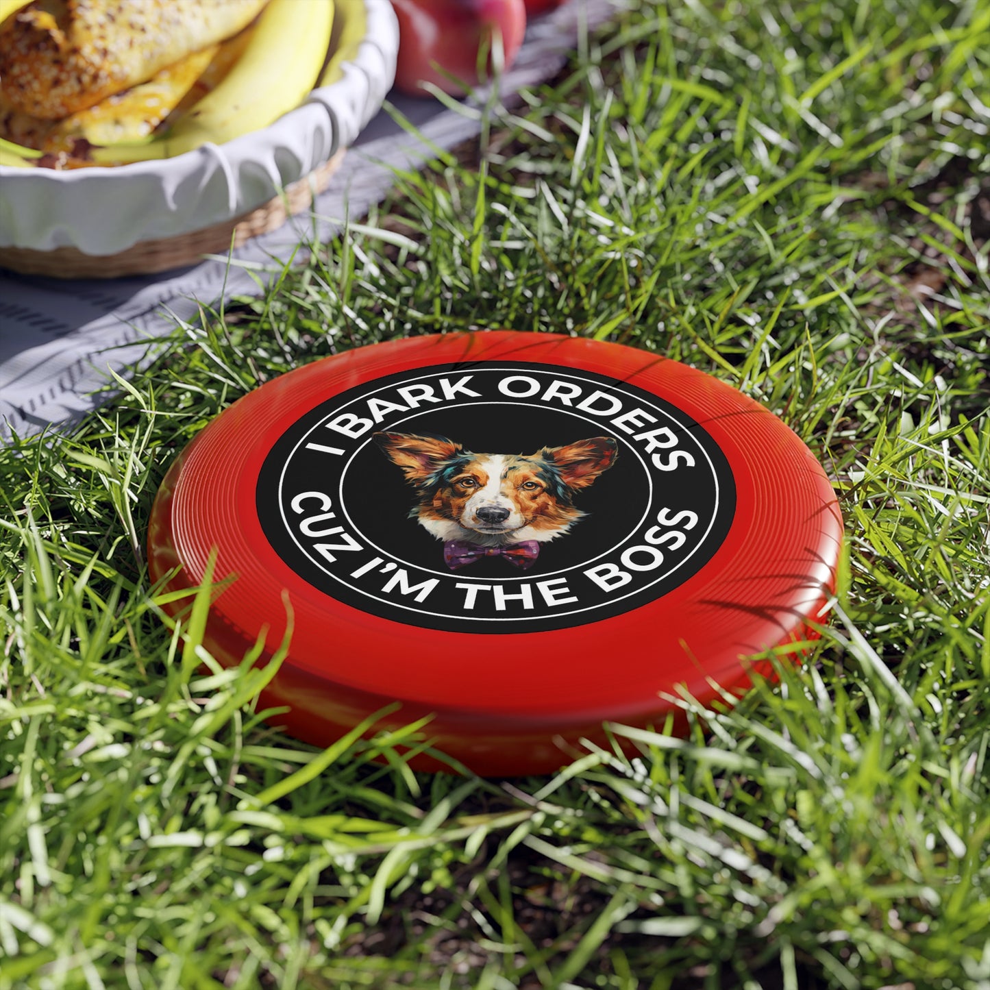 The Boss - Wham-O Frisbee