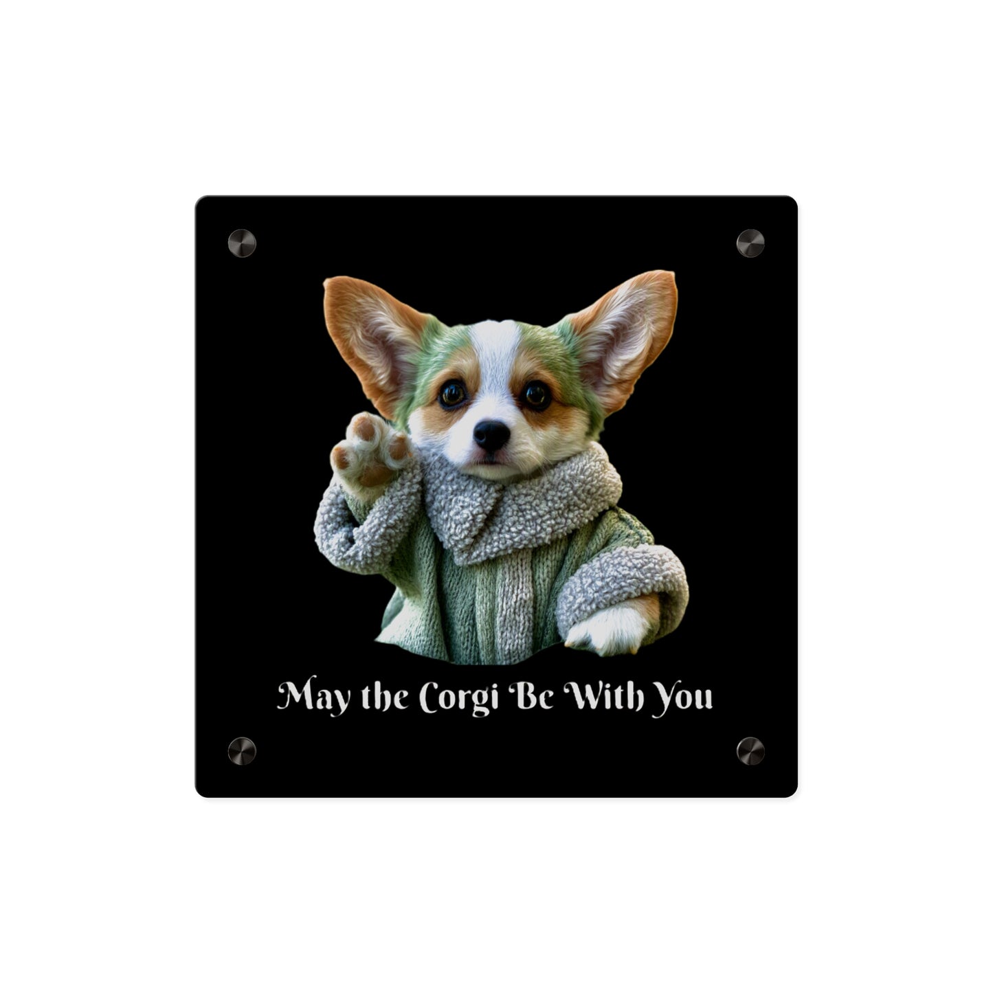 May the Corgi Be With You on Acrylic