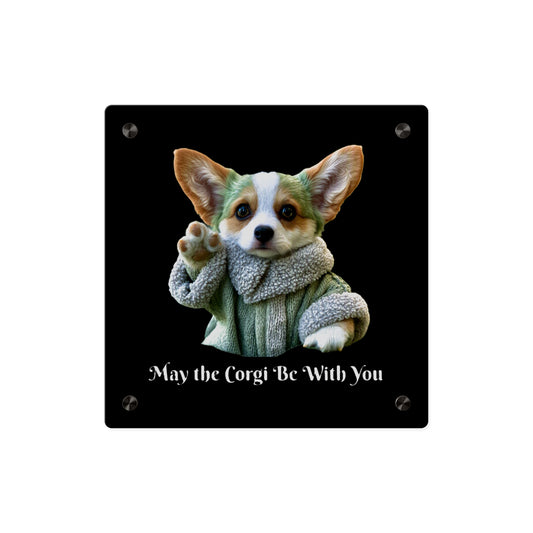 Que le Corgi soit avec vous sur acrylique
