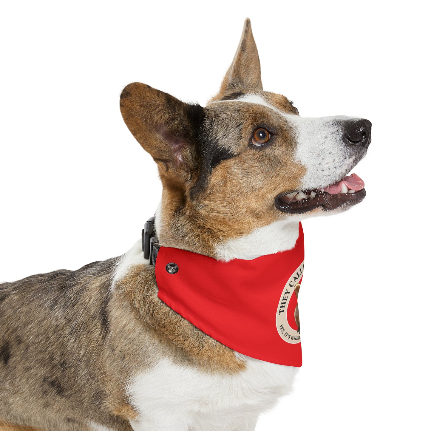 Cute as a Button - Bandana Collar