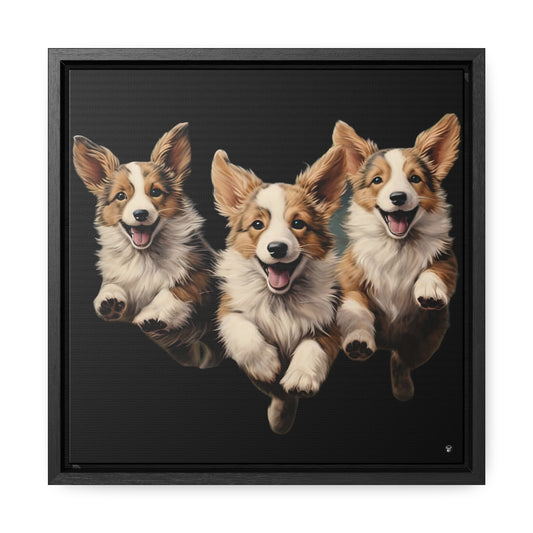Corgi Enthusiasm - Framed on Canvas