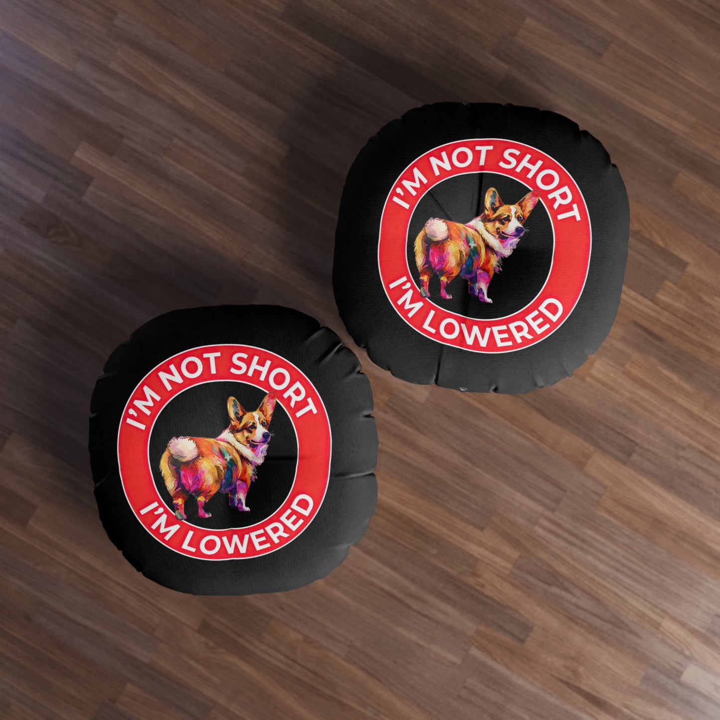 Lowrider - Floor Pillow