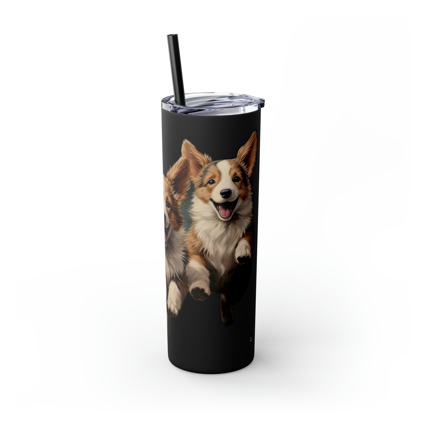 Corgi Enthusiasm - Tumbler
