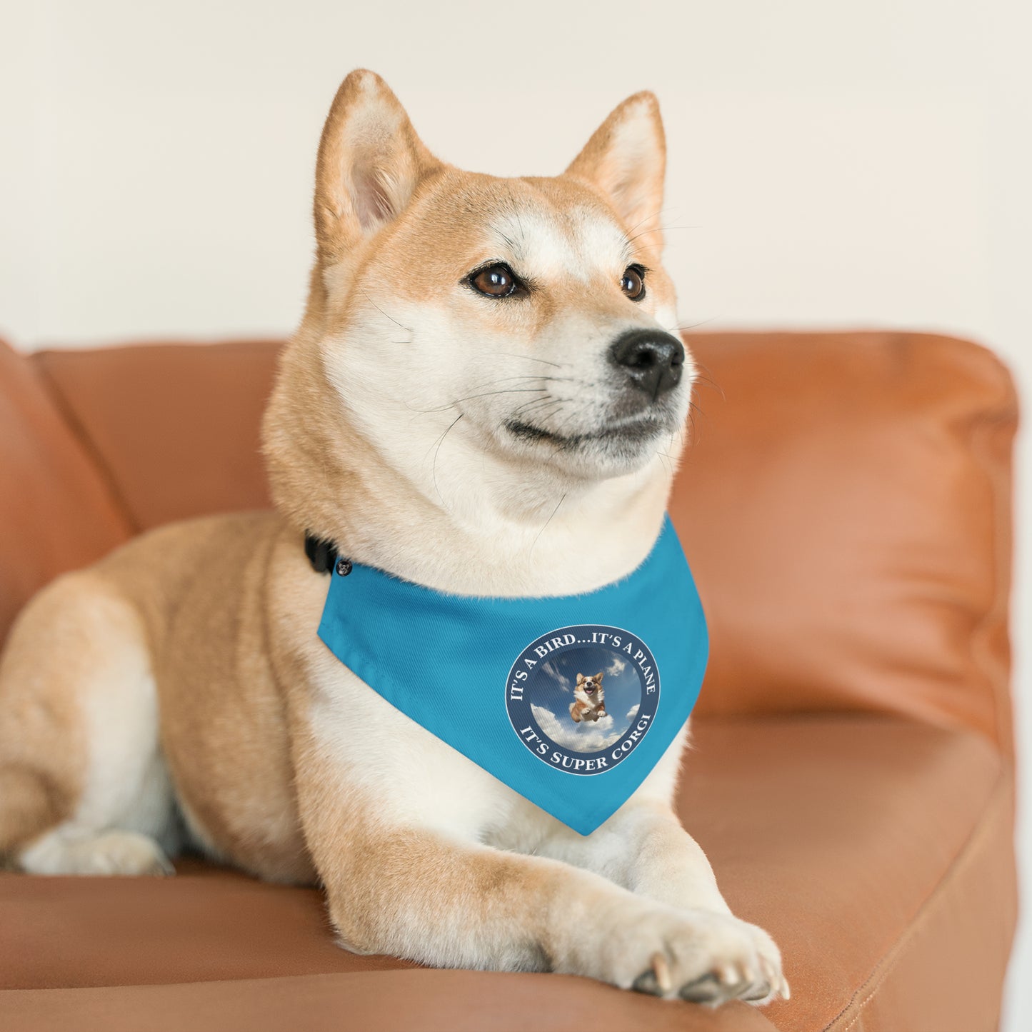 Super Corgi - Bandana Collar