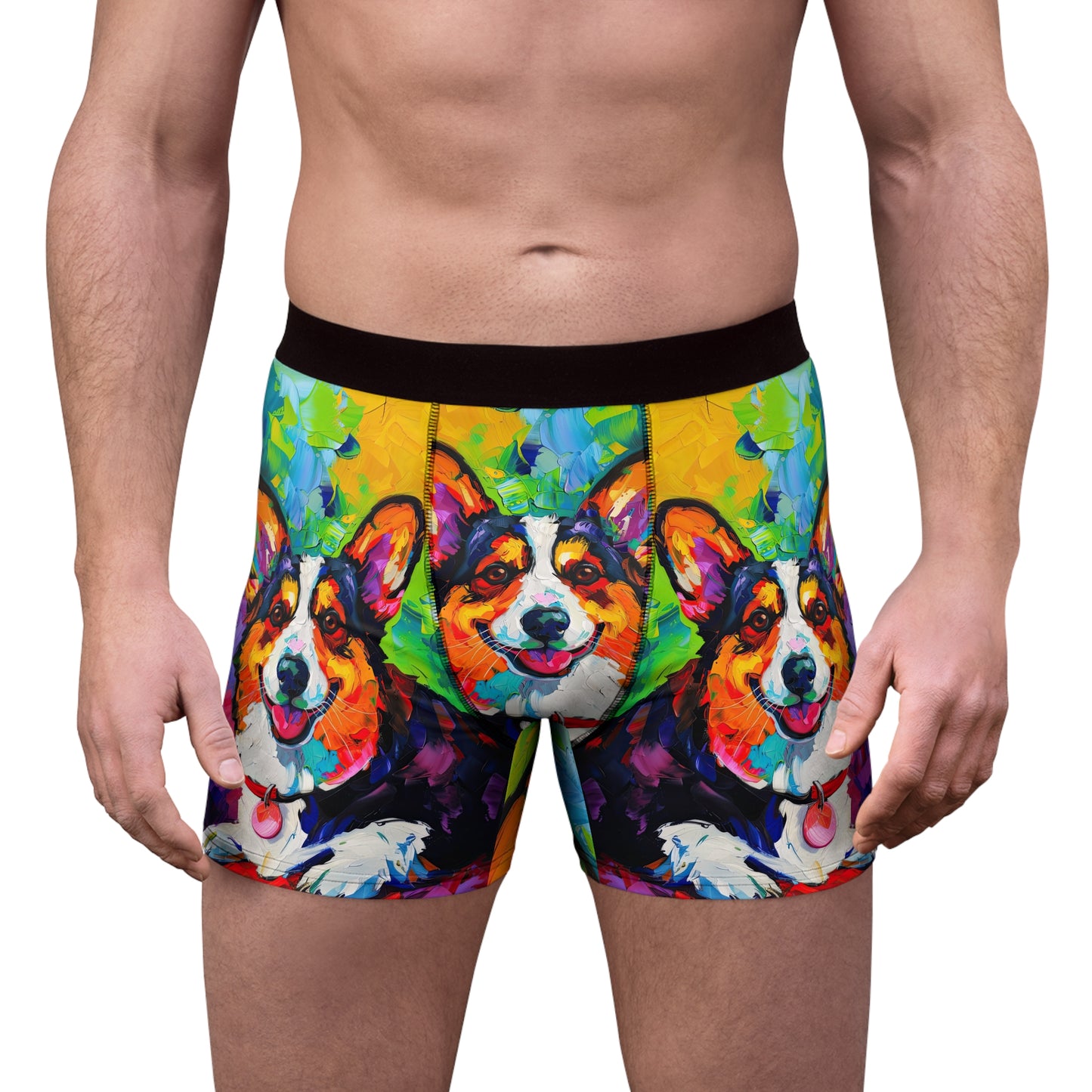 Colorful Corgi Boxer Briefs!