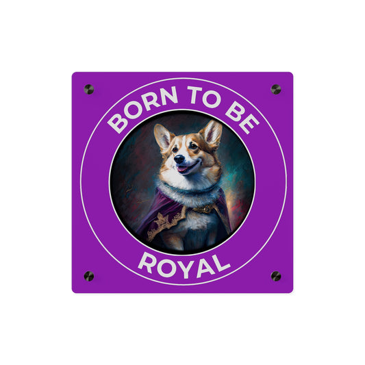 Born To Be Royal on Acrylic