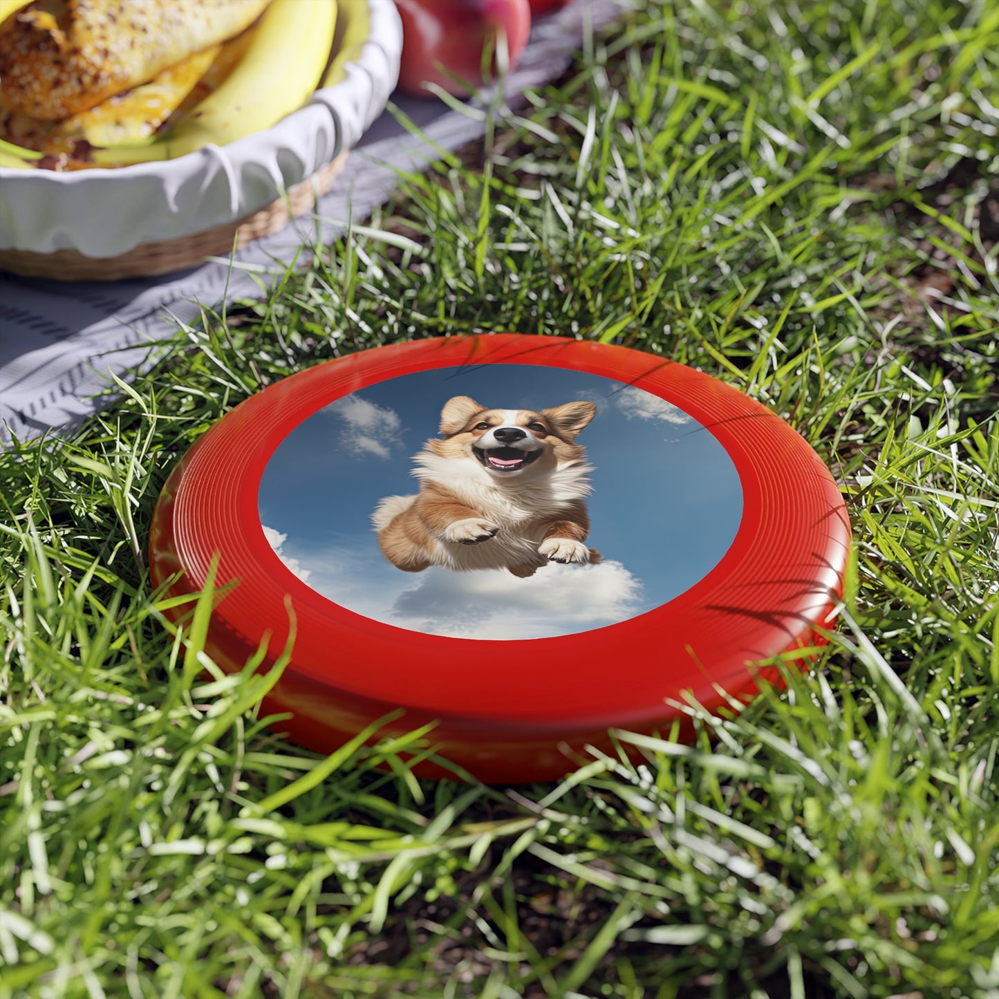 Flying Corgi - Wham-O Frisbee