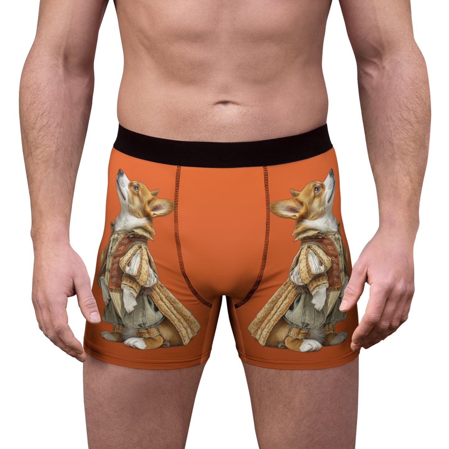 Prince Corgi Boxer Briefs!