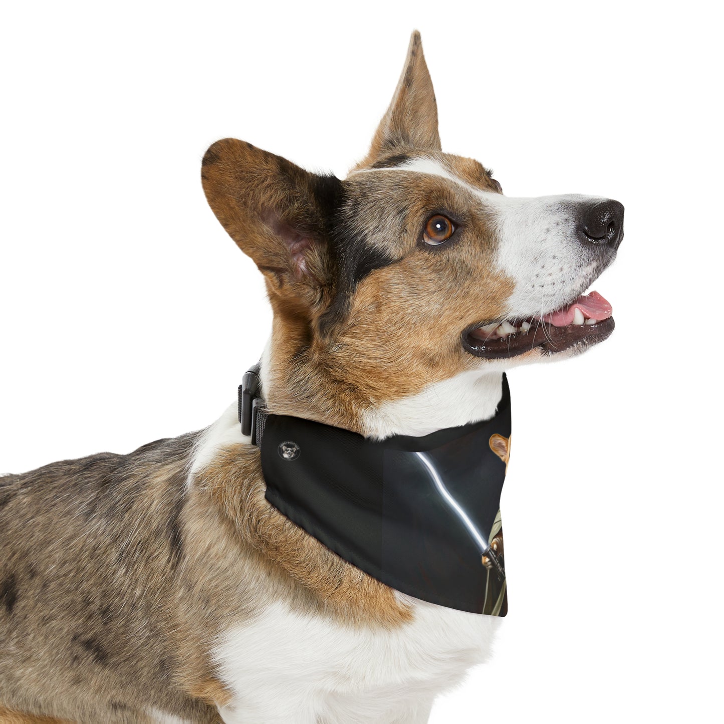 Jedi Corgi - Bandana Collar