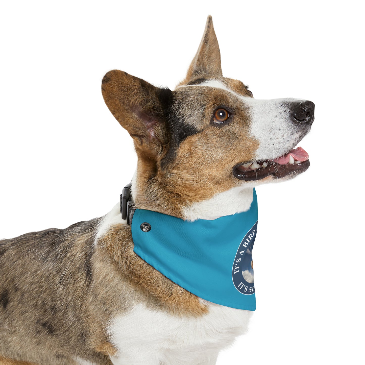 Super Corgi - Bandana Collar