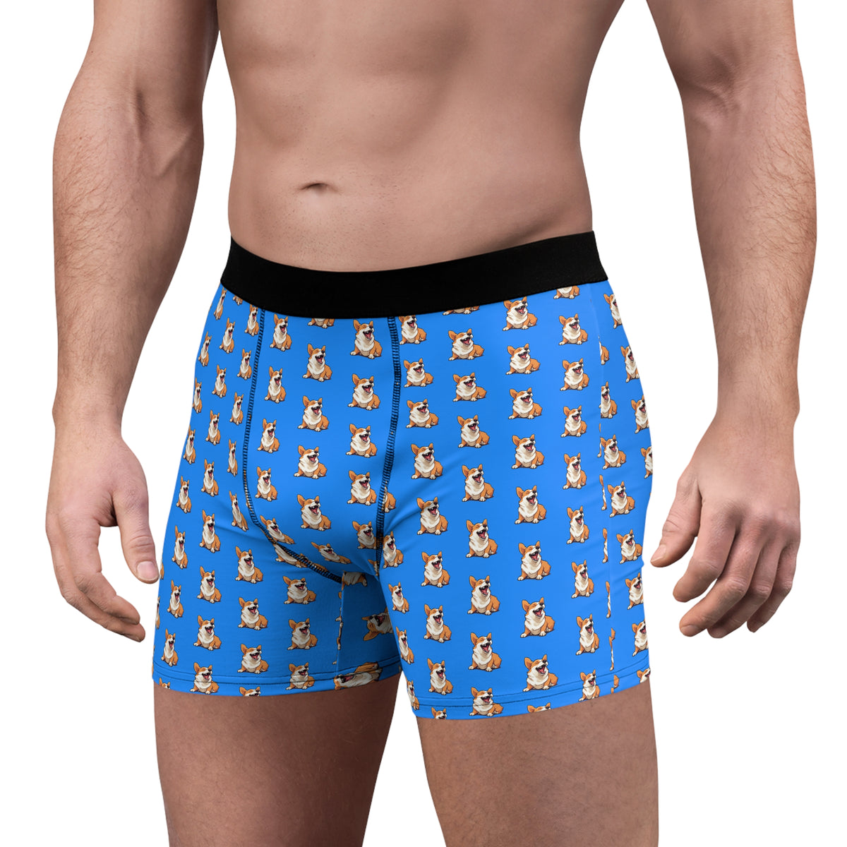 Comical Corgi All Smiles Repeater Pattern Blue Boxer Briefs!