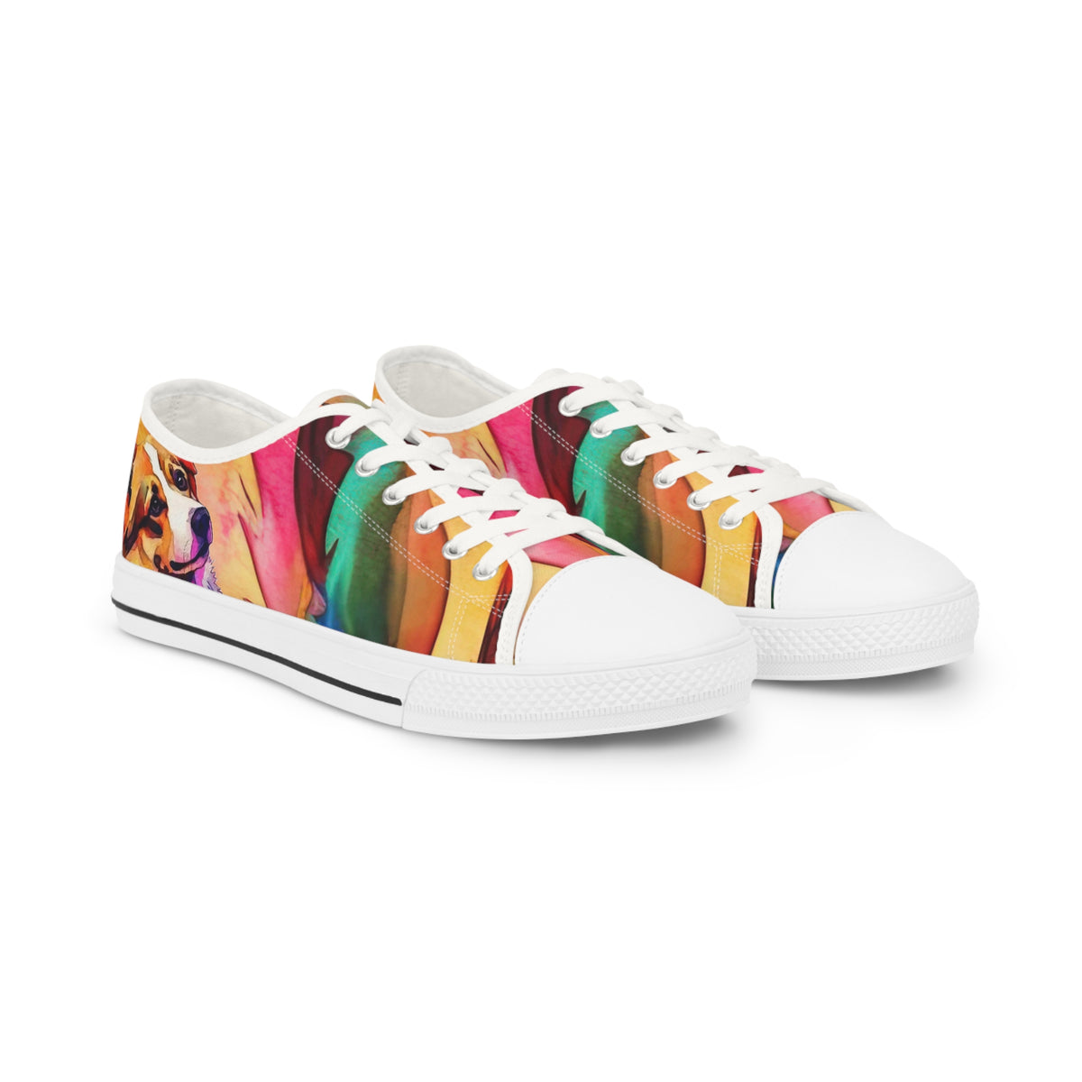 Motley Corgi Men's Low Top Casual Watercolor Canvas Sneakers