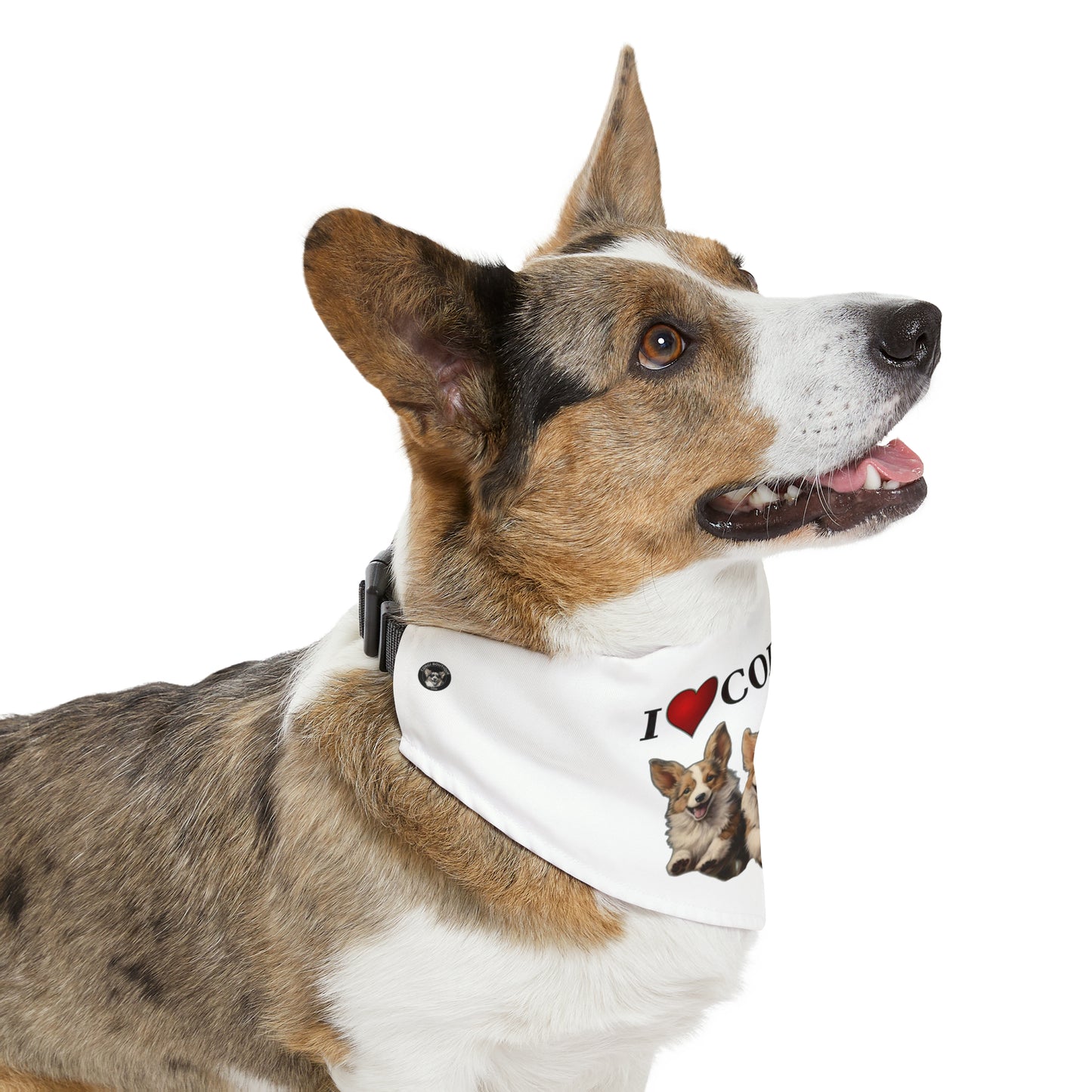 I Heart Corgis - Bandana Collar