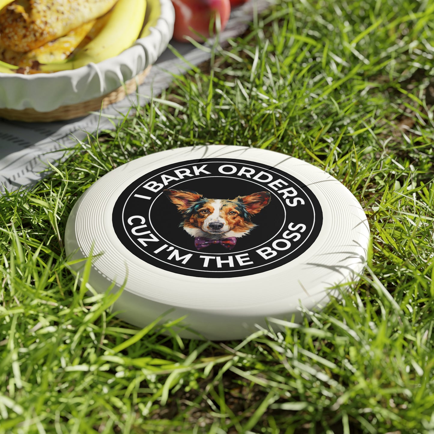 The Boss - Wham-O Frisbee