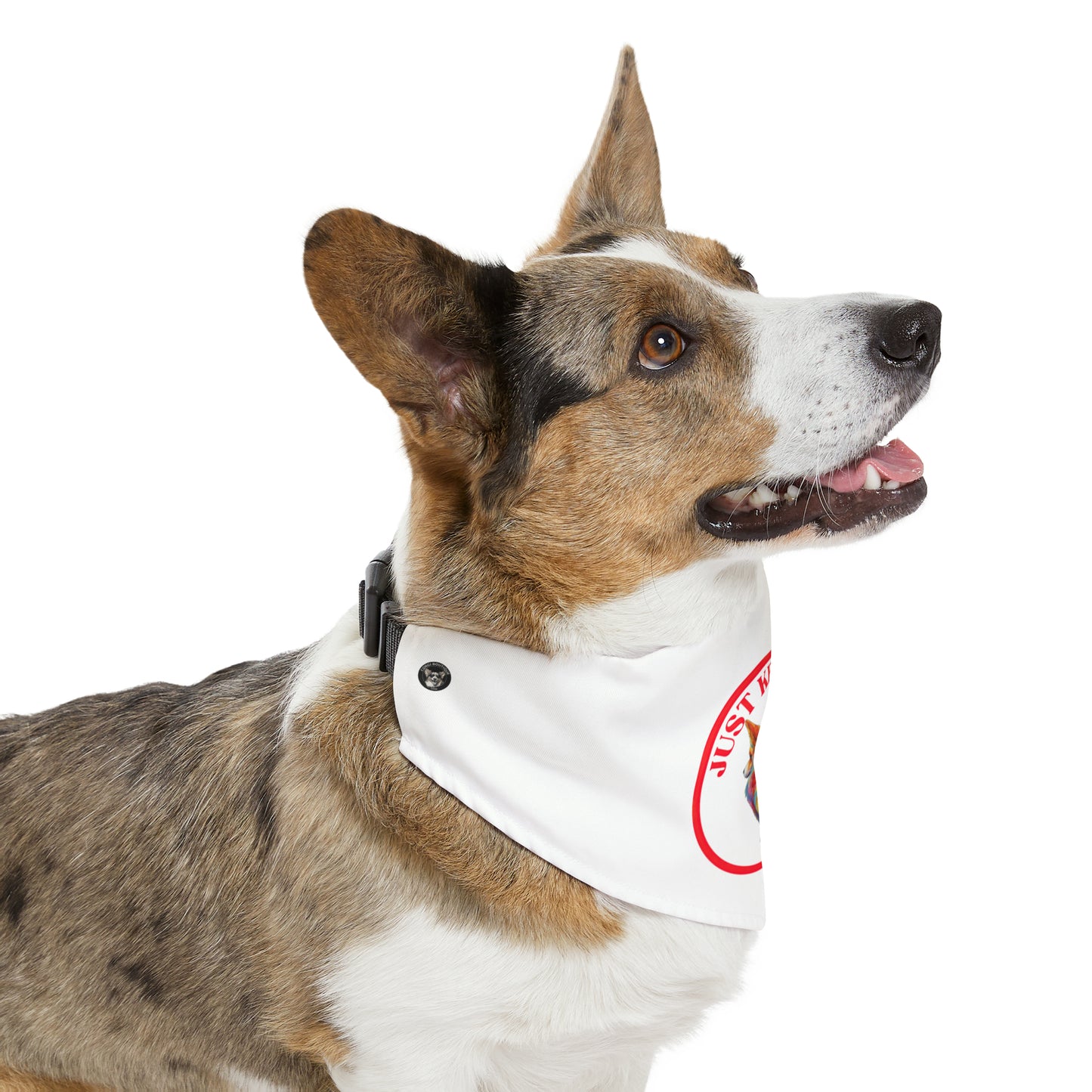 Just Keep Wiggling - Bandana Collar